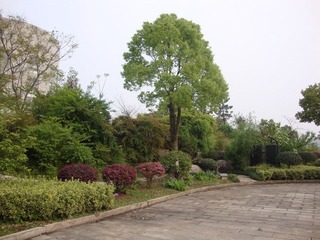 DSC01944.JPG
