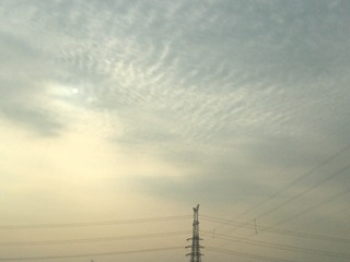 AE6C050A-0890-48F8-AE1C-D0FBD646FA81/L0/001
