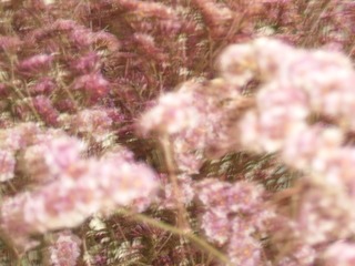 495F4839-B7A5-4928-9802-2C208D33A336/L0/001