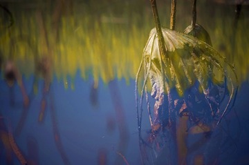 DSC_1836_