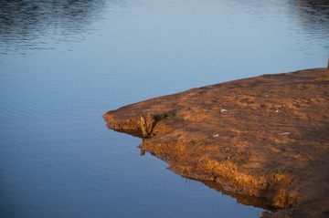DSC_2103_