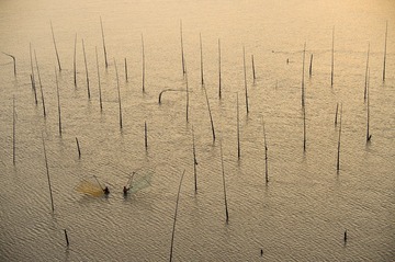 DSC_4736_