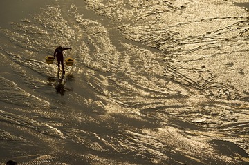 DSC_4390_