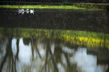 DSC_0367_