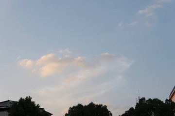 4B77FC1C-F493-4B70-85B4-91D8EF3BCB05/L0/001