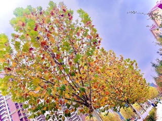 88E8D634-16DA-44C0-84D1-A14F6ADEB15B/L0/001