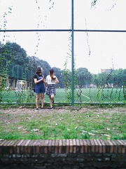 CF019113