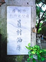 CF019048