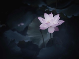 001