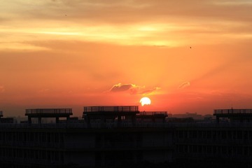 IMG_6879.jpg
