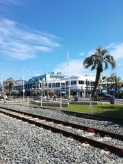 3891315