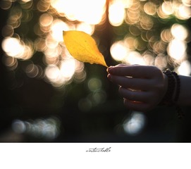 山山山 (12)
