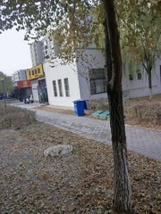 486730