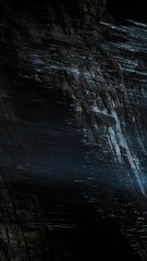 1000055273