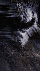 1000055272