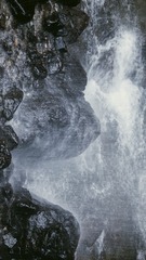 1000055264
