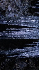 1000055226