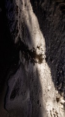 1000055305