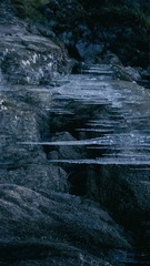 1000055220