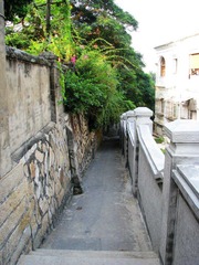IMG_0915.jpg
