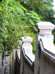 IMG_0917.jpg