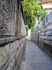 IMG_0923.jpg