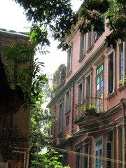 IMG_0991.jpg