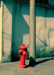 IMG_1007.jpg