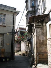 IMG_1023.jpg