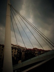 IMG_1046.jpg