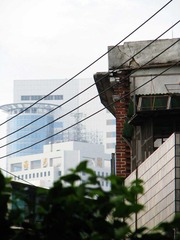 IMG_1060.jpg
