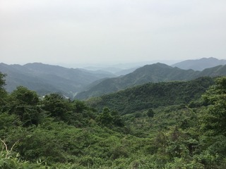 93F059F6-100E-4202-AFC5-84872900D036/L0/001