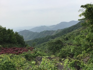 AB7FF105-438C-4F9F-B23C-73CD0CB3F874/L0/001