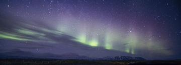 _ENO5589
