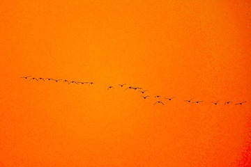 6B588900-F961-4999-81A9-46B558CA0050/L0/001