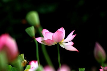 IMG_3311.JPG
