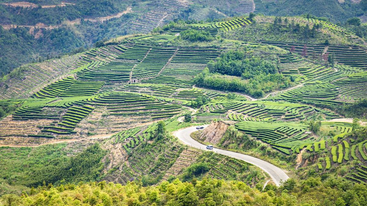 粤东揭西县大洋乡