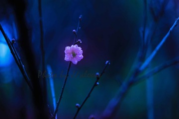 001