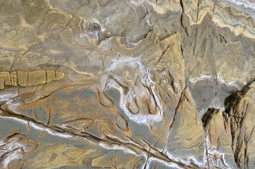 DSC_0037.jpg
