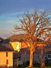 DSC_0002.jpg