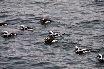 DSC_0129.jpg