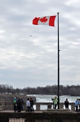 DSC_0033.jpg
