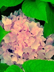 IMG_00000809_hdr.jpg