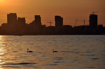 DSC_0163.jpg