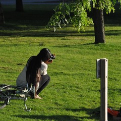 DSC_0137.jpg