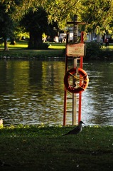 DSC_0126.jpg