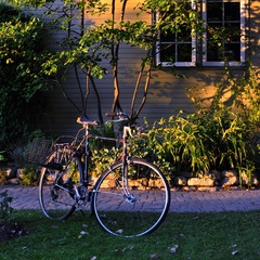 DSC_0159.jpg