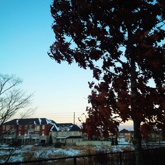 IMG_20131124_163631
