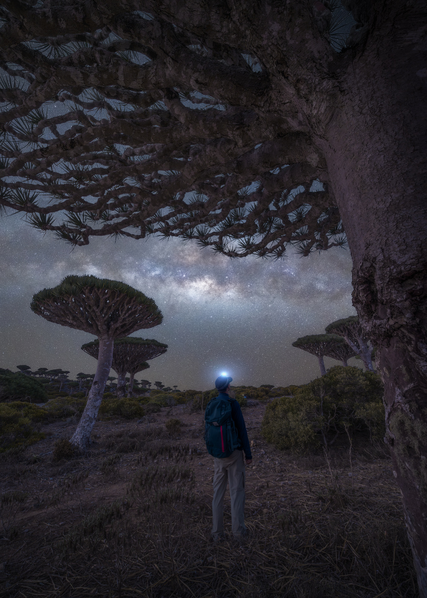 星空银河下的龙血树森林，我行走其中，如同来到了一个外星球