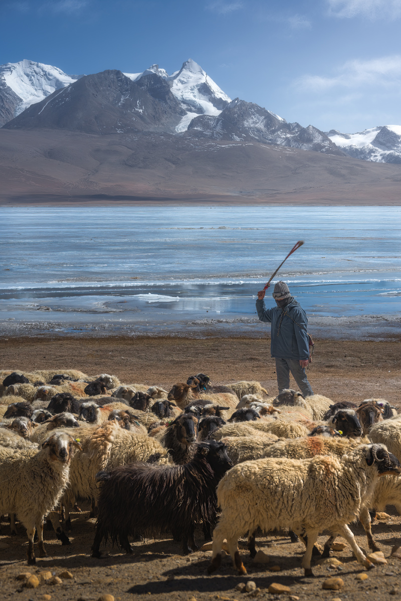 喜马拉雅山下多情措湖边的牧羊人